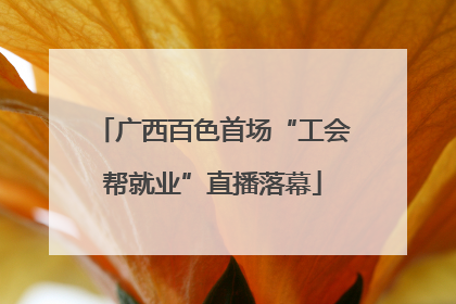 广西百色首场“工会帮就业”直播落幕